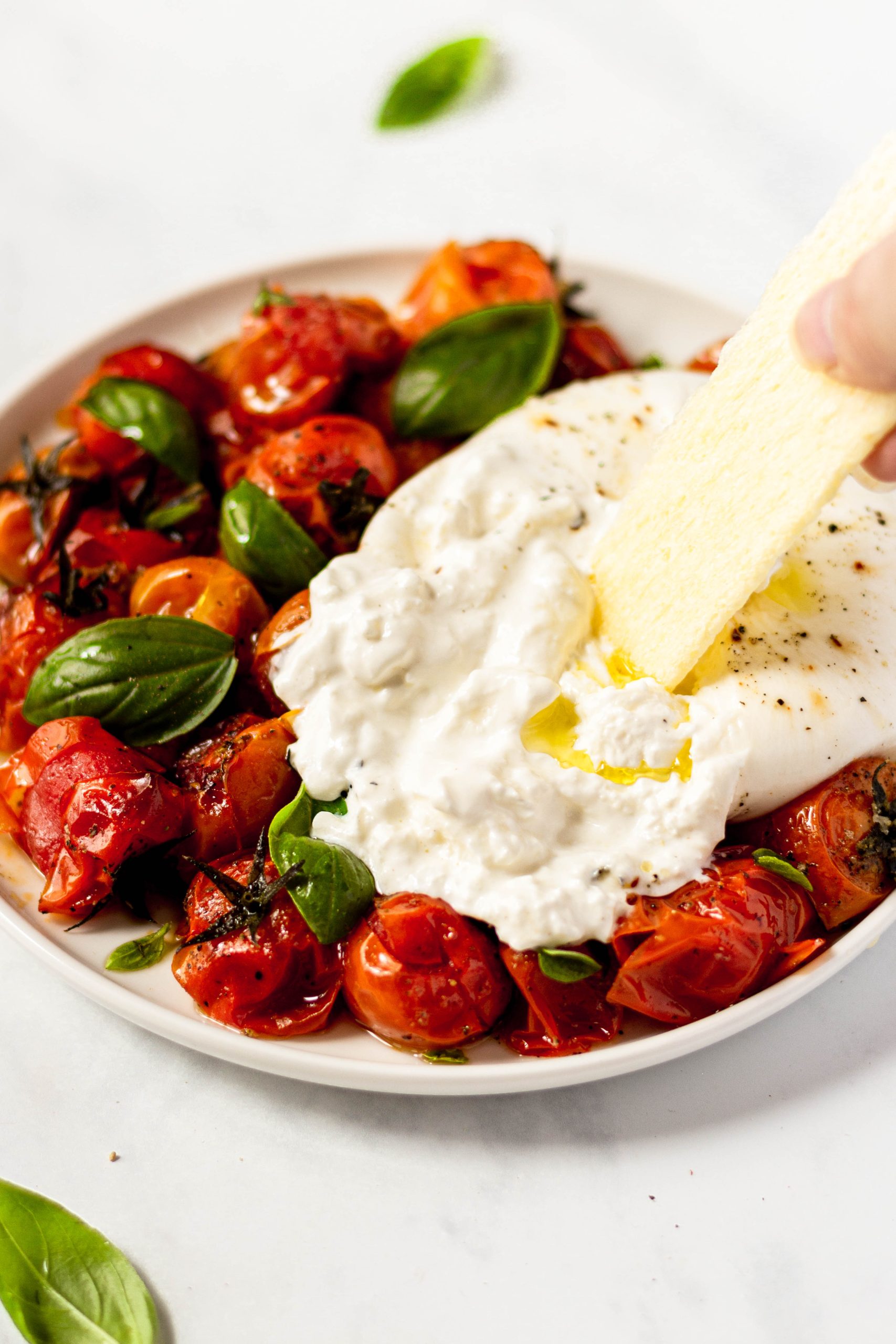 burrata with roasted tomatoes