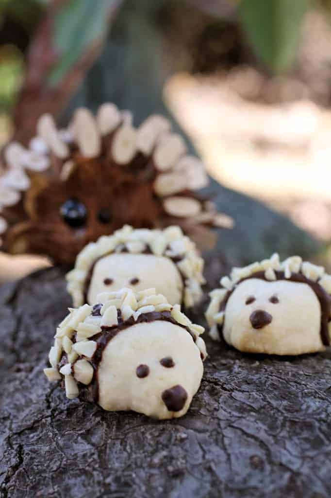 Image for Hedgehog Cookies...Almost Too Cute to Eat!