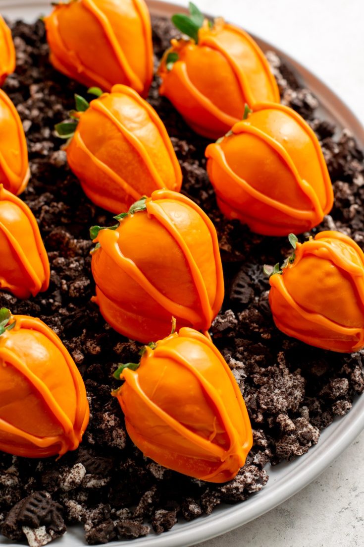 Image for Chocolate Covered Strawberry Pumpkin Patch