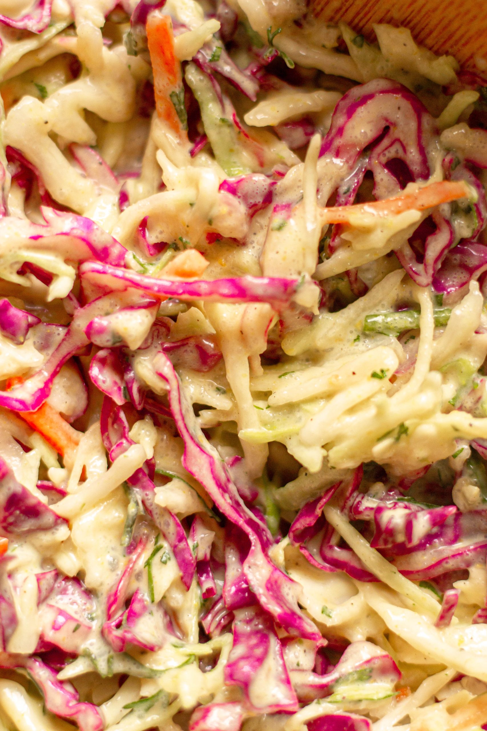 sour cream mayo coleslaw dressing Homemade Creamy Coleslaw